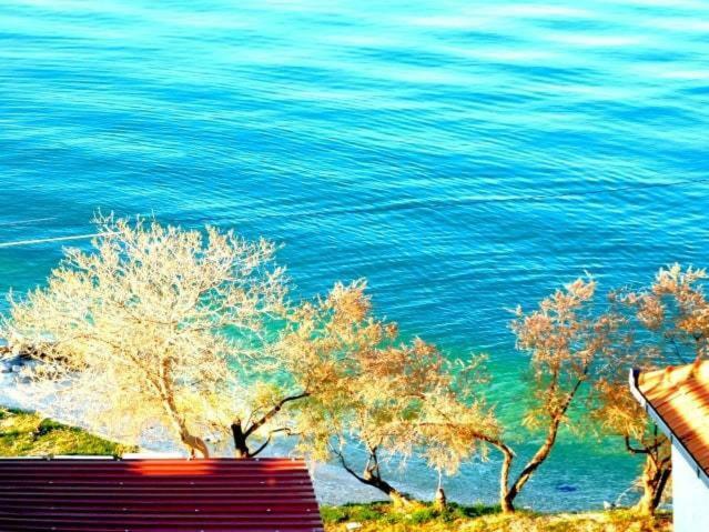Littlevenice Appartme 50M From Sea Τρογκίρ Εξωτερικό φωτογραφία
